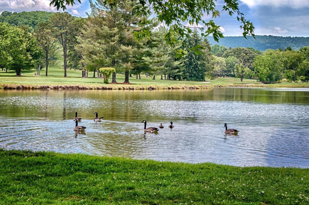 Etowah Valley Golf & Resort Εξωτερικό φωτογραφία